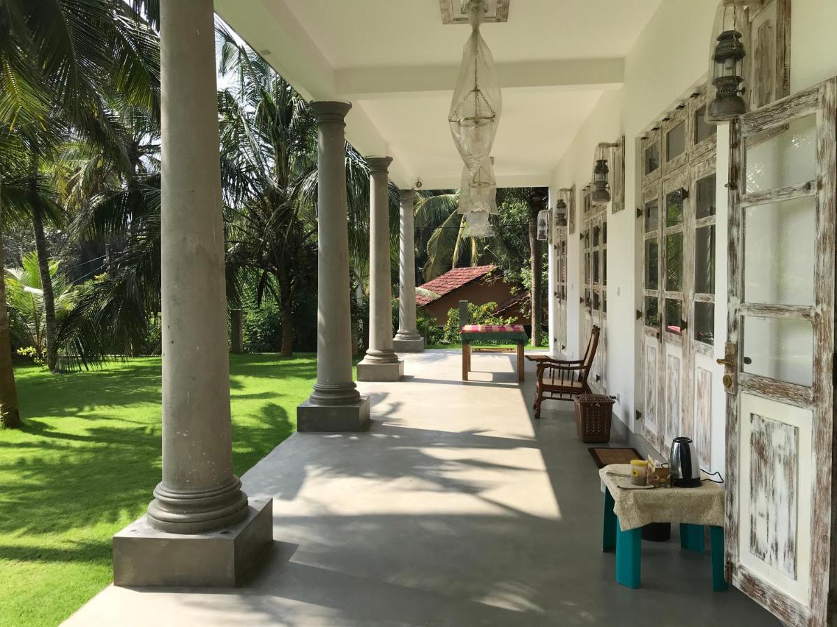 Wilson'S Place ديكويلاّ تين المظهر الخارجي الصورة