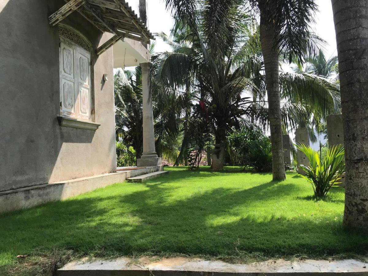 Wilson'S Place ديكويلاّ تين المظهر الخارجي الصورة