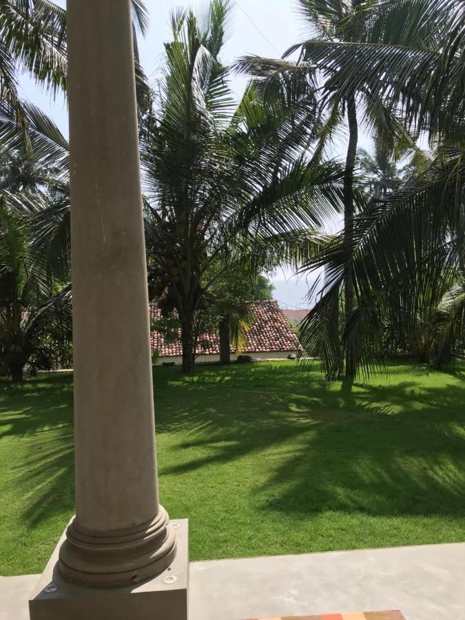 Wilson'S Place ديكويلاّ تين المظهر الخارجي الصورة