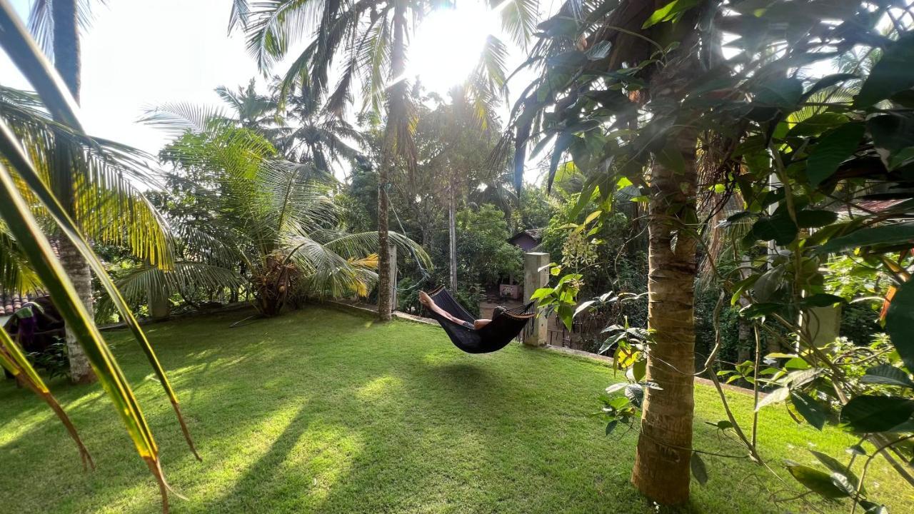 Wilson'S Place ديكويلاّ تين المظهر الخارجي الصورة